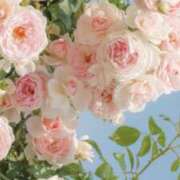 ヒメ日記 2026/04/03 07:11 投稿 むつみ 熟女の風俗最終章 宇都宮店