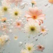 ヒメ日記 2026/04/04 07:01 投稿 むつみ 熟女の風俗最終章 宇都宮店