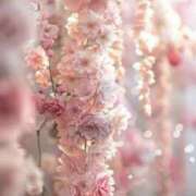 ヒメ日記 2026/04/04 20:01 投稿 むつみ 熟女の風俗最終章 宇都宮店