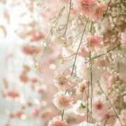 ヒメ日記 2026/04/06 07:15 投稿 むつみ 熟女の風俗最終章 宇都宮店