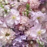 ヒメ日記 2026/04/07 07:41 投稿 むつみ 熟女の風俗最終章 宇都宮店