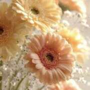 ヒメ日記 2026/04/08 17:41 投稿 むつみ 熟女の風俗最終章 宇都宮店