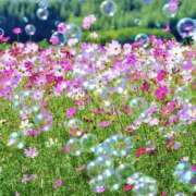 ヒメ日記 2026/04/12 09:05 投稿 むつみ 熟女の風俗最終章 宇都宮店