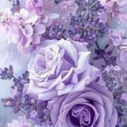 ヒメ日記 2026/04/12 18:11 投稿 むつみ 熟女の風俗最終章 宇都宮店