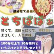 ヒメ日記 2026/04/14 07:26 投稿 むつみ 熟女の風俗最終章 宇都宮店