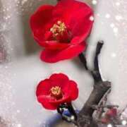 恵理(えり) 木瓜ボケ 人妻出逢い会 百合の園 山の手本店