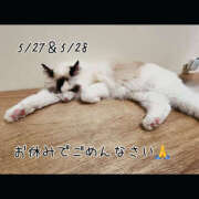 ヒメ日記 2025/05/28 18:23 投稿 たまき 横浜ハッピーマットパラダイス