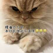 ヒメ日記 2025/06/10 17:05 投稿 たまき 横浜ハッピーマットパラダイス