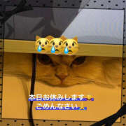 ヒメ日記 2025/09/01 15:43 投稿 たまき 横浜ハッピーマットパラダイス