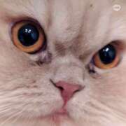 ヒメ日記 2026/02/22 18:33 投稿 たまき 横浜ハッピーマットパラダイス