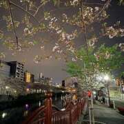 たまき では明日(-_-)zzz 横浜ハッピーマットパラダイス