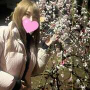 ヒメ日記 2025/04/03 15:01 投稿 りお 紳士の嗜み 大宮