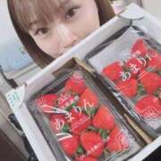 ヒメ日記 2026/02/06 05:05 投稿 りお 紳士の嗜み 大宮