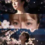 ヒメ日記 2026/04/02 12:47 投稿 りお 紳士の嗜み 大宮