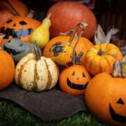 ヒメ日記 2025/10/30 20:00 投稿 れん 和風ぱみゅぱみゅ総本舗