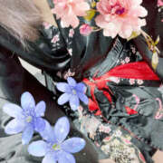 ヒメ日記 2025/11/27 21:18 投稿 はる 和風ぱみゅぱみゅ総本舗