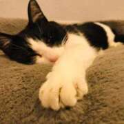 ヒメ日記 2025/09/07 18:09 投稿 槙村ももか リップスティック