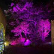 ヒメ日記 2025/11/30 20:41 投稿 槙村ももか リップスティック