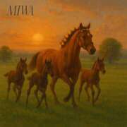 ヒメ日記 2025/04/28 17:24 投稿 菊池美和 五十路マダムエクスプレス船橋店(カサブランカグループ)