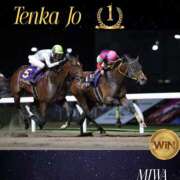 ヒメ日記 2025/05/14 22:14 投稿 菊池美和 五十路マダムエクスプレス船橋店(カサブランカグループ)