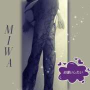 ヒメ日記 2025/11/14 13:28 投稿 菊池美和 五十路マダムエクスプレス船橋店(カサブランカグループ)