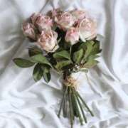 ヒメ日記 2025/05/04 08:10 投稿 るみか 奥様の実話 梅田店