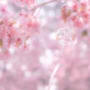 ヒメ日記 2026/04/11 08:27 投稿 るみか 奥様の実話 梅田店