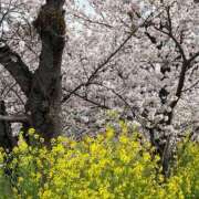 ヒメ日記 2025/02/28 08:57 投稿 ★マイ★エロス人妻 ヴィーナス(金津園)