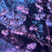 ヒメ日記 2025/04/01 20:42 投稿 ★マイ★エロス人妻 ヴィーナス(金津園)