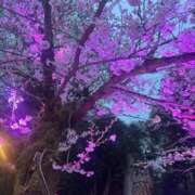 ヒメ日記 2025/04/04 00:33 投稿 ★マイ★エロス人妻 ヴィーナス(金津園)