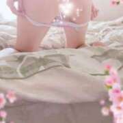 ヒメ日記 2025/04/14 08:57 投稿 ★マイ★エロス人妻 ヴィーナス(金津園)