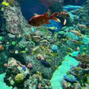 ヒメ日記 2025/04/28 08:48 投稿 ★マイ★エロス人妻 ヴィーナス(金津園)