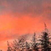 ヒメ日記 2025/09/03 19:12 投稿 ★マイ★エロス人妻 ヴィーナス(金津園)