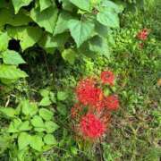 ヒメ日記 2025/10/01 17:48 投稿 ★マイ★エロス人妻 ヴィーナス(金津園)