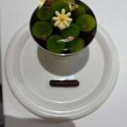 ヒメ日記 2026/02/02 08:51 投稿 ★マイ★エロス人妻 ヴィーナス(金津園)