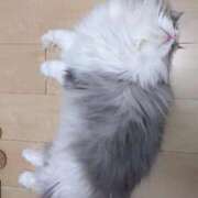 ヒメ日記 2026/04/12 10:56 投稿 藤咲さら 松戸人妻花壇