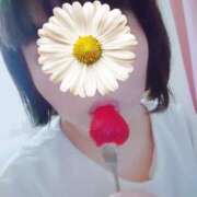 ヒメ日記 2025/03/26 03:00 投稿 ねね ぷるるん小町日本橋店