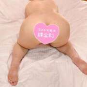 ヒメ日記 2026/03/07 10:27 投稿 ねね ぷるるん小町日本橋店