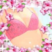 ヒメ日記 2025/02/11 11:46 投稿 ひよこ ぷるるん小町 京橋店