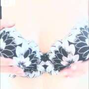 ヒメ日記 2025/06/04 15:46 投稿 ひよこ ぷるるん小町 京橋店