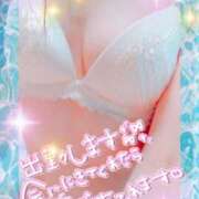 ヒメ日記 2025/08/16 09:00 投稿 ひよこ ぷるるん小町 京橋店