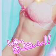 ヒメ日記 2025/10/13 08:45 投稿 ひよこ ぷるるん小町 京橋店