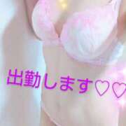 ヒメ日記 2026/02/17 09:00 投稿 ひよこ ぷるるん小町 京橋店