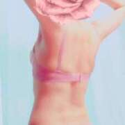 ヒメ日記 2026/04/04 08:45 投稿 ひよこ ぷるるん小町 京橋店