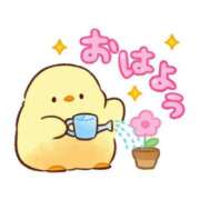 ヒメ日記 2026/08/14 08:45 投稿 ひよこ ぷるるん小町 京橋店