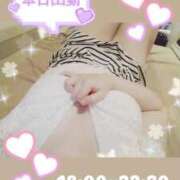 ヒメ日記 2025/05/11 15:35 投稿 かおる アバンチュール（難波）