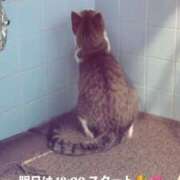 ヒメ日記 2025/08/30 18:44 投稿 かおる アバンチュール（難波）