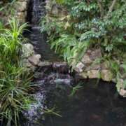 ヒメ日記 2025/09/23 10:02 投稿 かおる アバンチュール（難波）