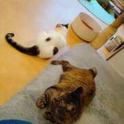 ヒメ日記 2025/10/19 09:01 投稿 かおる アバンチュール（難波）