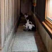 ヒメ日記 2025/10/24 09:01 投稿 かおる アバンチュール（難波）